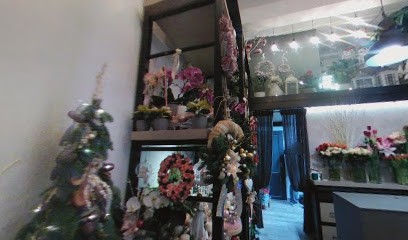 Fiori Carla Trieste, Fiorista a Trieste