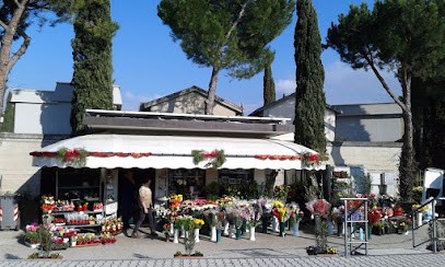Angeli Santa - Piante E Fiori, Fiorista a Foligno