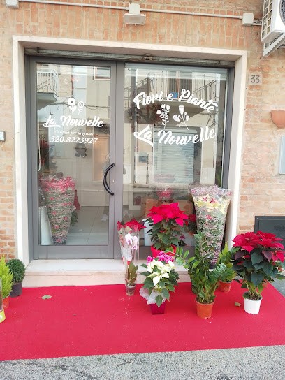 Fiori e piante La Nouvelle, Fiorista a Lucera