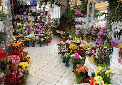 Il Mughetto, Fiorista a Roma