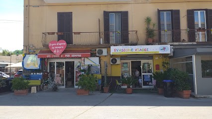 Un Fiore è Per Sempre Frosinone, Fiorista a Frosinone