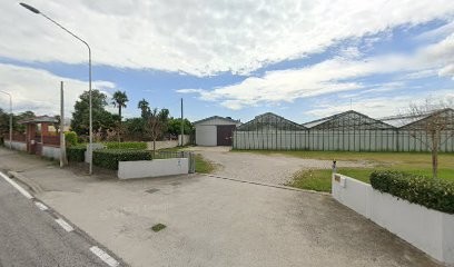 Az. Agr. Michelini Eros E Sergio, Fiorista a Palmanova