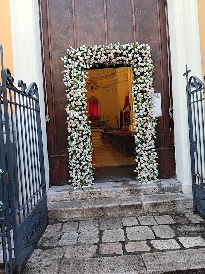 Euroflor Piante Fiori Addobbi, Fiorista a Camposano