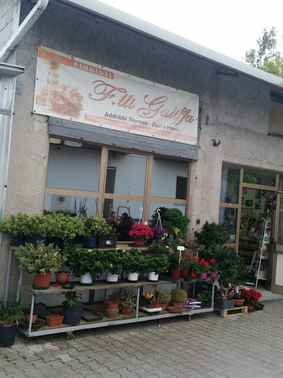 Fiori F.lli Galiffa, Fiorista a Martinsicuro