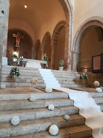 Olivieri Silvana - Piante E Fiori / TORS Floral Design, Fiorista a Foligno