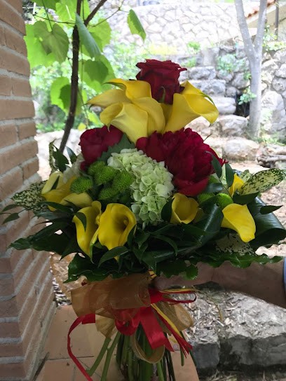 Fiorista La Primavera Di Gianluca Apicella, Fiorista a Salerno