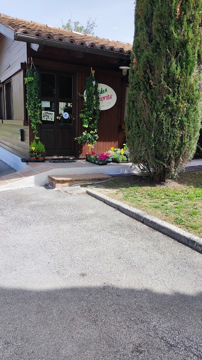 Fiori E Piante L'Idea Fiorita, Fiorista a Castelraimondo