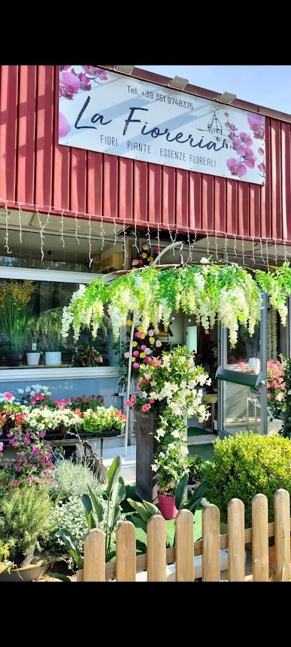 La Fioreria, Fiorista a Loreto