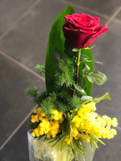 Ikebana Il Giardino Dei Fiori Di Sportelli Vita Maria, Fiorista a Castellana Grotte