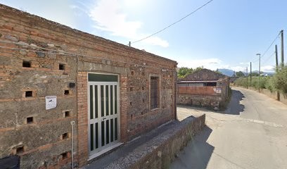 ANANIA, Fiorista a Milazzo