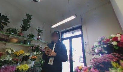 Fiori Francioli Di Vittorio Francioli, Fiorista a Trieste