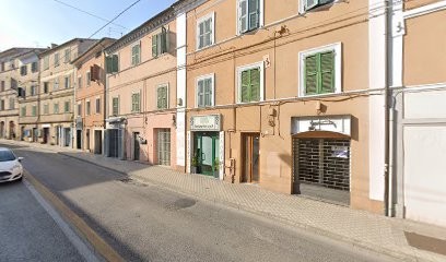 Fiori Rita, Fiorista a Ancona