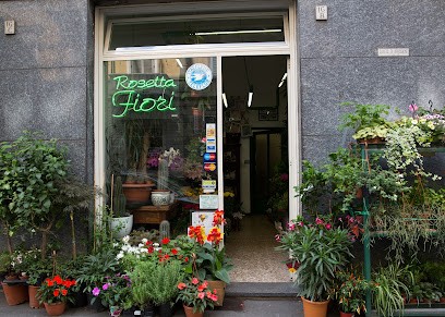 Rosetta Fiori Di De Benedictis Rosa, Fiorista a Torino