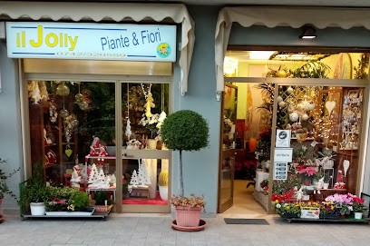 Fiori E Piante - Il Jolly Di Ciancaleoni Antonio - Foligno, Fiorista a Foligno