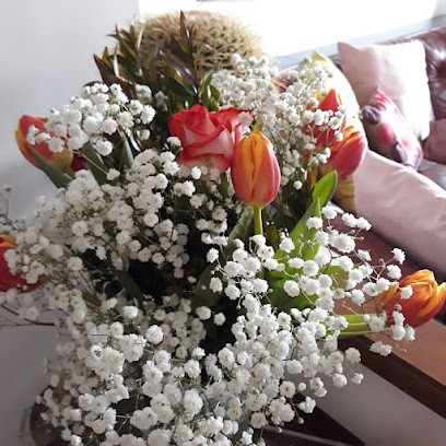 Fiori E Piante Di Uddin Asad, Fiorista a San Donato Milanese