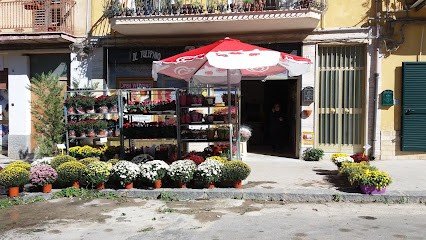 Il Tulipano Fiori E Piante Serradifalco, Fiorista a Serradifalco