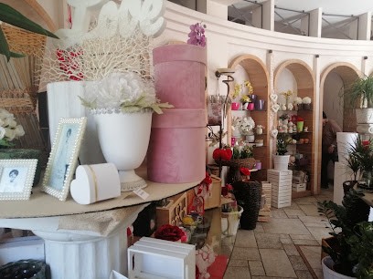 Collezioni Floreali Di Pinto Pasquale, Fiorista a Putignano