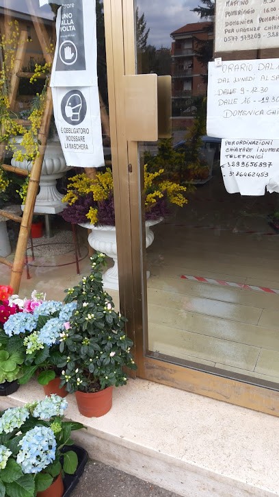 Ikebana | Fiori E Piante, Fiorista a Poggibonsi