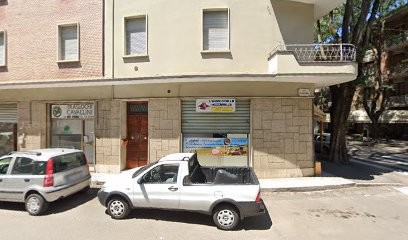 Di Fiore In Fiore, Fiorista a Vignola