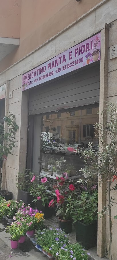 Mercatino Pianta E Fiori, Fiorista a Roma