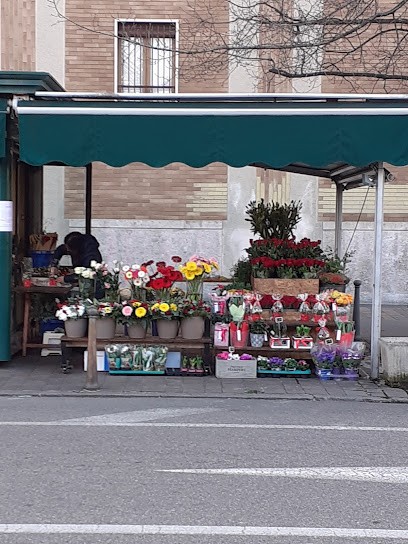 FloreAle, Fiorista a Seregno