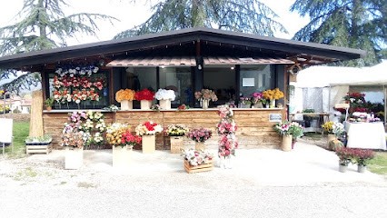 Il Giglio Rosso, Fiorista a Anghiari
