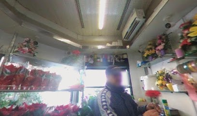 Fiorista Abdu, Fiorista a Roma