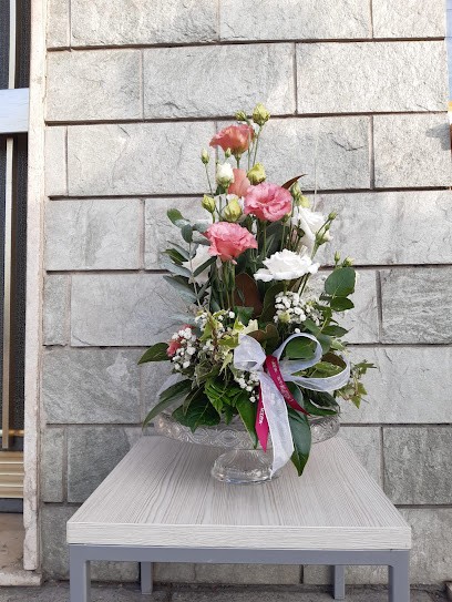 Petali D'arte, Fiorista a Modena