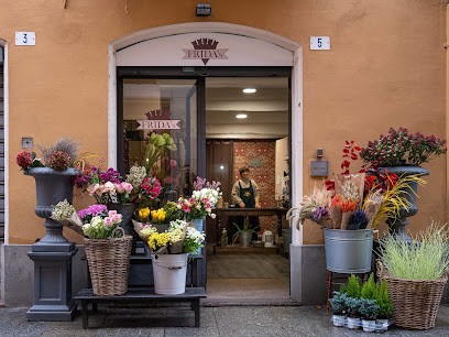 Frida's Modena | Italian Flower Stores, Fiorista a Modena