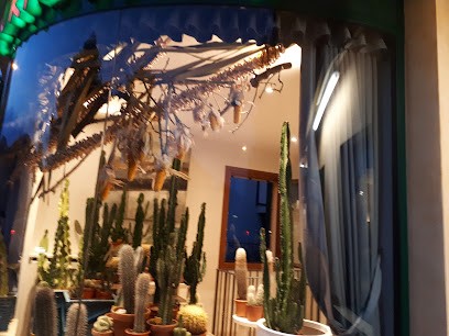 Fiori E Colori, Fiorista a Vittorio Veneto