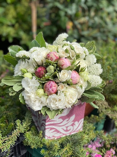Les Chic Piante E Fiori, Fiorista a Marigliano