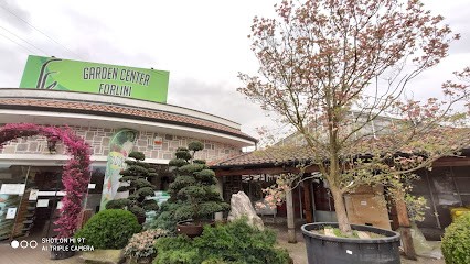 Forlini Garden Center, Fiorista a Santhià