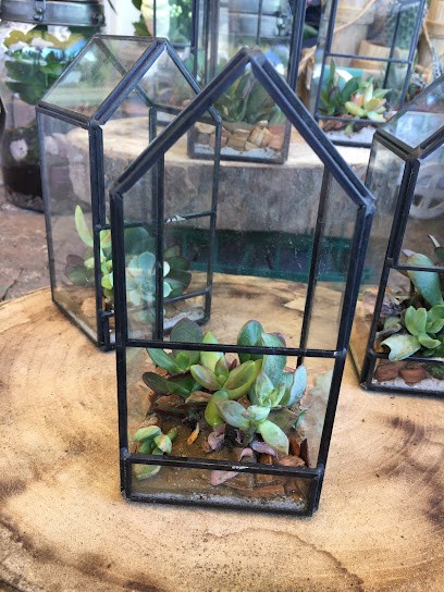 Antica Fioreria Calisti Creazioni Floreali, Fiorista a L'Aquila