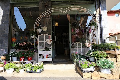 Silvia Fiori Di Leone Silvia, Fiorista a Favria