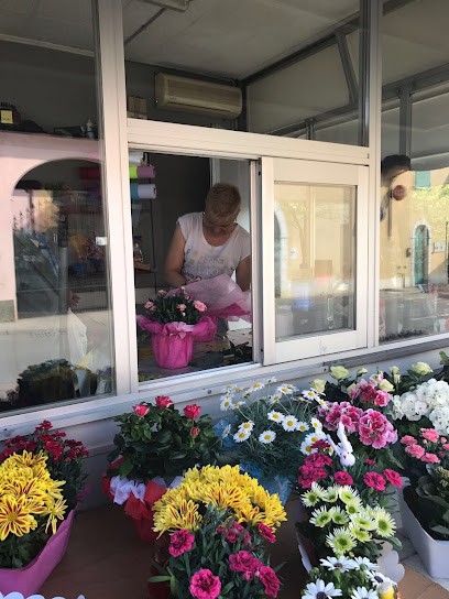 Isabel Floor Giorgia, Fiorista a Quinzano d'Oglio