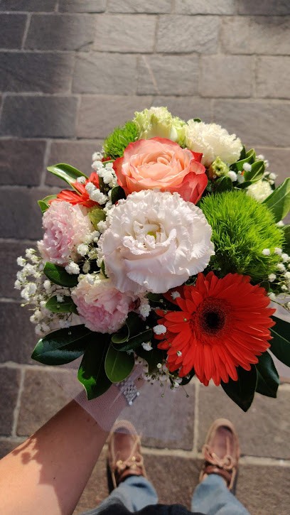 F.LLI MARRESI, Fiorista a Macerata