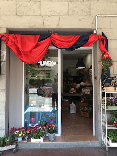Fiori & Follie Snc., Fiorista a Casalecchio di Reno