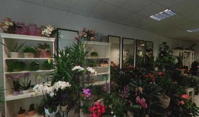 Fiorista Ballabio, Fiorista a Pavia