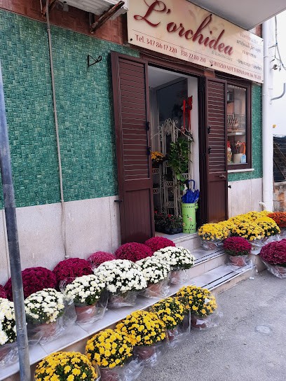 L'Orchidea di Mannino Giuseppina, Fiorista a Isola delle Femmine