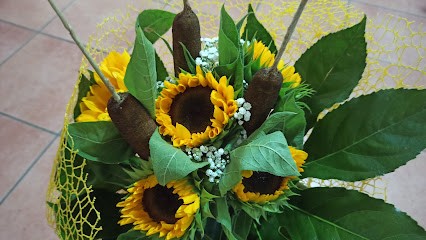 Il Glicine Fioraio, Fiorista a Roma