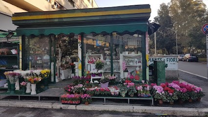 L'Iris Piante E Fiori, Fiorista a Roma