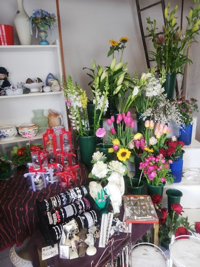 FIORISTA GLORIA, Fiorista a La Spezia