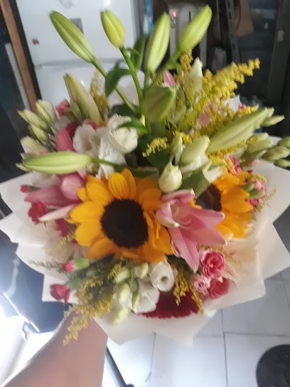 Fiore E Piante Da Regan, Fiorista a Roma