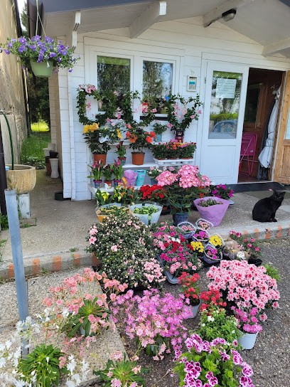 La CASETTA Dei FIORI (di Maela), Fiorista a Fabbrico