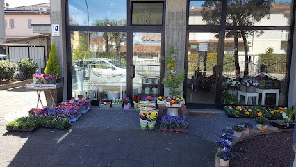 Fioreria Creativa Forlì, Fiorista a Forlì