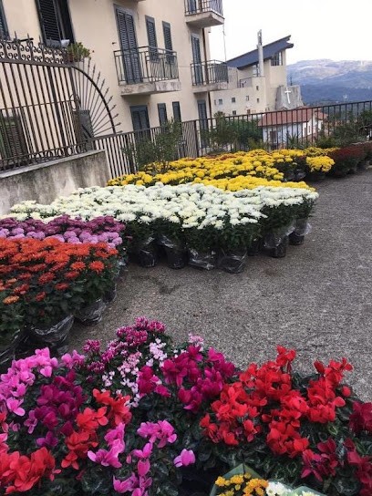 La Boutique del Fiore, Fiorista a Calabritto