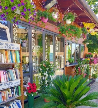 Lina Fiori Di Giangiacomo Ornella, Fiorista a Stroncone