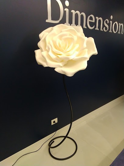 La boutique del design e dei fiori giganti, Fiorista a Carpi