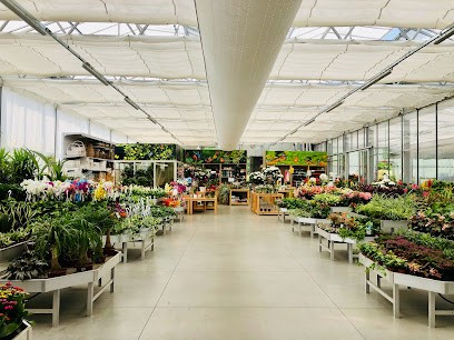 Fioreria Oasi Rossi, Fiorista a Santorso