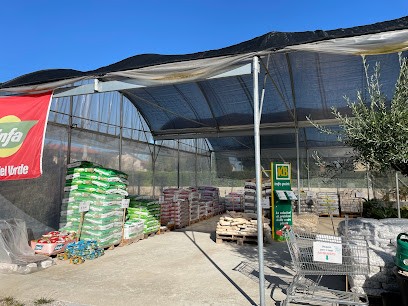 Floricoltura Carlesso, Fiorista a Rosà